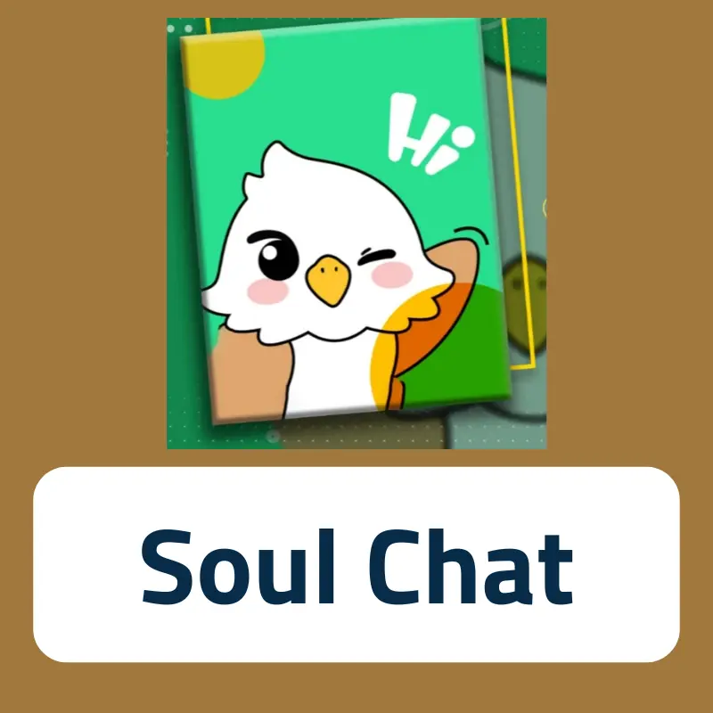سول شات