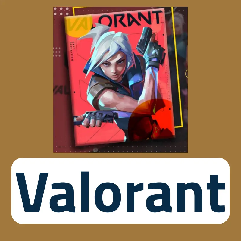 Valorant VP 3500 Turkey